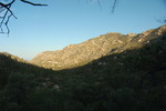 photo thumbnail #1