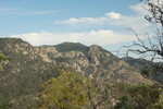 photo thumbnail #6