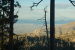 photo thumbnail #4