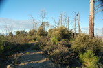 photo thumbnail #5