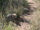 photo thumbnail #2
