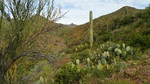 photo thumbnail #2