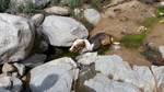 photo thumbnail #9