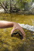 photo thumbnail #11