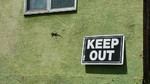 photo thumbnail #15