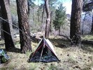 photo thumbnail #2