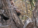 photo thumbnail #13