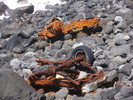 photo thumbnail #6