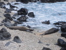 photo thumbnail #8
