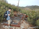 photo thumbnail #5