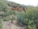 photo thumbnail #8