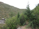 photo thumbnail #10