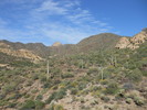 photo thumbnail #1