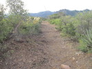 photo thumbnail #1