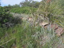photo thumbnail #8