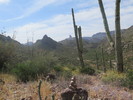 photo thumbnail #8