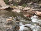photo thumbnail #2