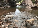 photo thumbnail #3