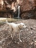 photo thumbnail #5