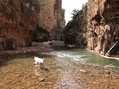 photo thumbnail #9
