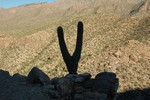 photo thumbnail #13