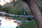photo thumbnail #7