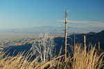 photo thumbnail #8