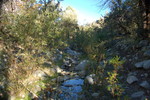 photo thumbnail #14