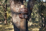 photo thumbnail #15