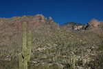 photo thumbnail #1