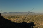 photo thumbnail #6