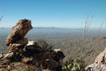 photo thumbnail #9
