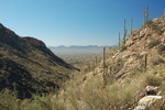 photo thumbnail #1