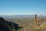 photo thumbnail #3