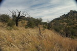 photo thumbnail #8