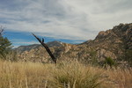 photo thumbnail #9