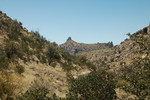 photo thumbnail #14