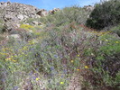 photo thumbnail #9