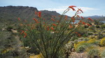 photo thumbnail #10