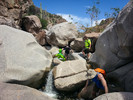 photo thumbnail #8