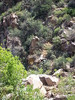 photo thumbnail #13