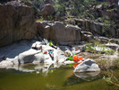photo thumbnail #14