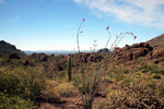 photo thumbnail #6