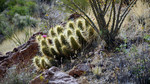 photo thumbnail #8