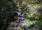 photo thumbnail #13