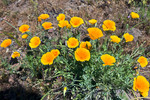 photo thumbnail #10
