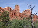 photo thumbnail #1