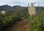 photo thumbnail #8