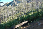 photo thumbnail #7