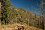 photo thumbnail #11